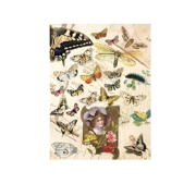 CADENCE DECOUPAGE RICE PAPER A3 - 083