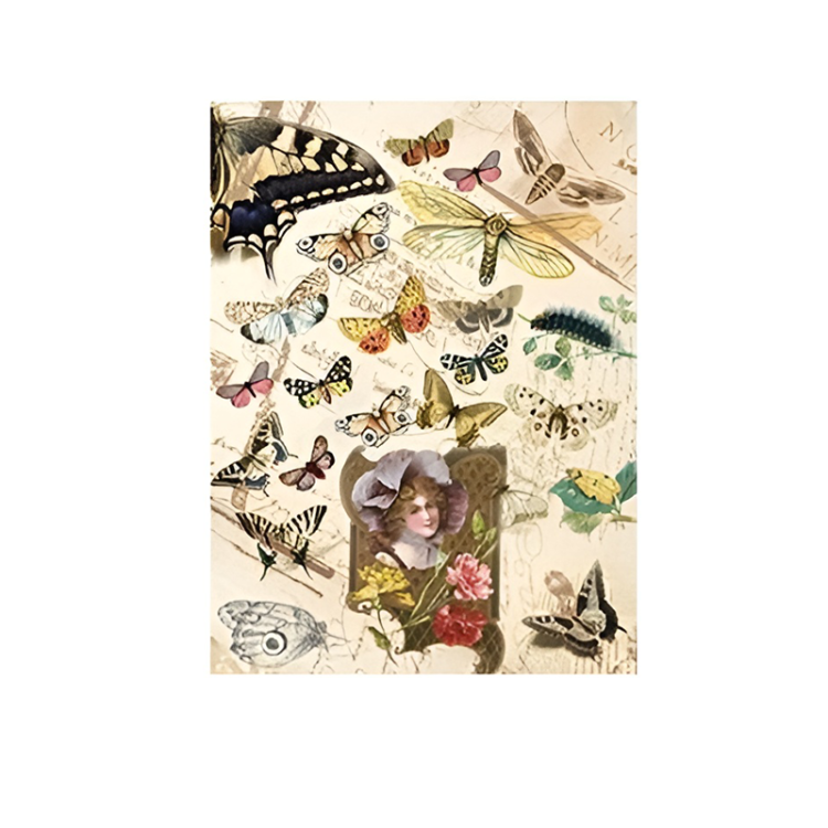 162083 CADENCE DECOUPAGE RICE PAPER A3 - 083 - Image 1