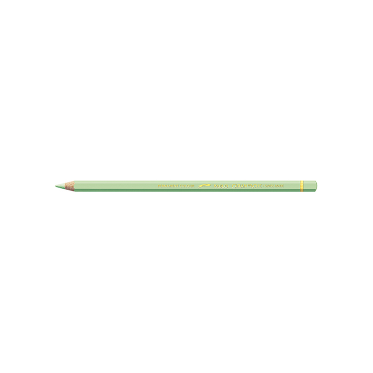 CARAN D'ACHE COLORED PENCILS PABLO LIGHT GREEN - Image 1