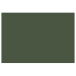 CARAN D'ACHE PASTEL PENCILS - DARK GREEN