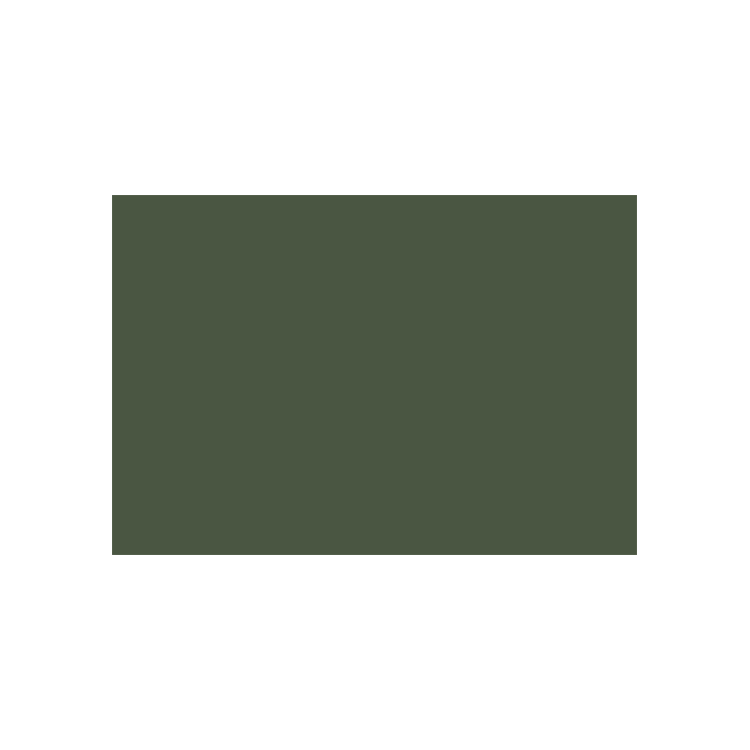 788229 CARAN D'ACHE PASTEL PENCILS - DARK GREEN - Image 1