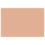 CARAN D'ACHE PASTEL PENCILS - DARK FLESH 5 %