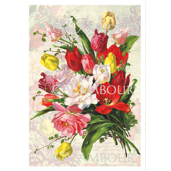_0099_DGR 172 CALAMBOUR DECOUPAGE PAPER 48/33 CM - DGR 172 - Image 1
