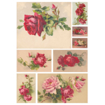 CALAMBOUR DECOUPAGE PAPER 42.5/30.4 CM - DGR 152