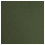 LANA COLORED PAPER IVY GREEN 160 G 50/65