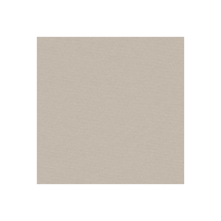 011493-83136 LANA COLORED PAPER PEARL 160 G 50/65 - Image 1