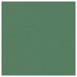 LANA COLORED PAPER FIR GREEN 160 G 210/297