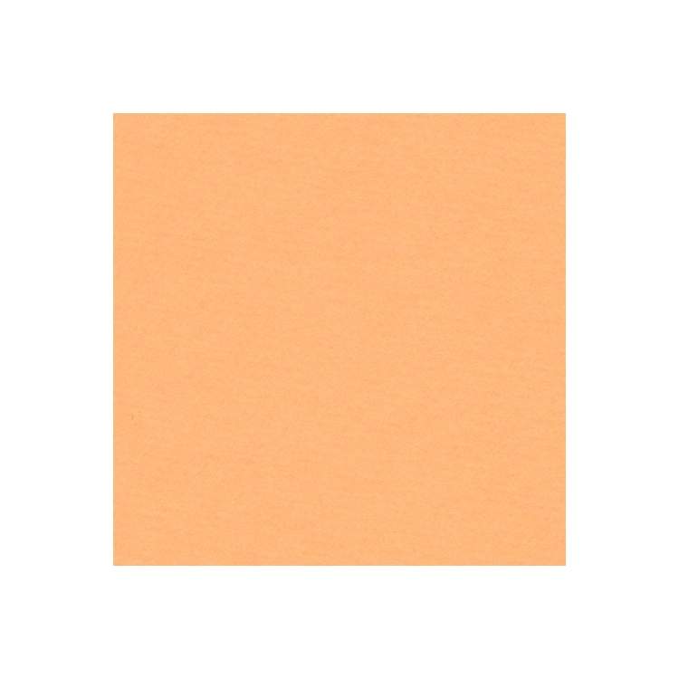 023149-83159 LANA COLORED PAPER SAND 160 G 210/297 - Image 1