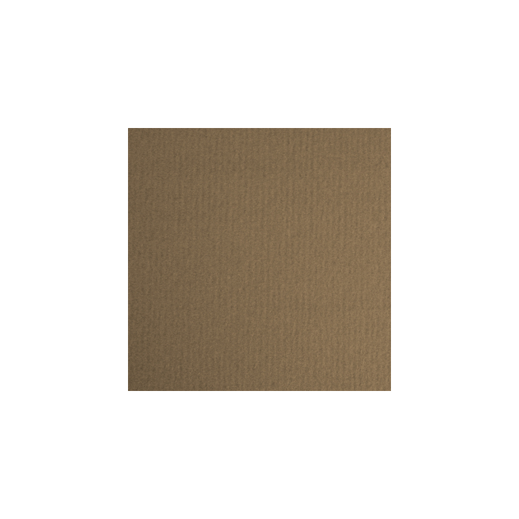 023151-83161 LANA COLORED PAPER MEDIUM BROWN 160 G 210/297 - Image 1