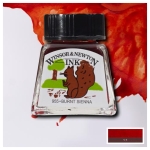 W&N CALLIGRAPHY INK 14 ML - SIENNA BAKED 1005074