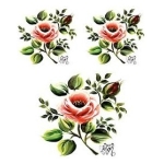 CADENCE TRANSFER PAPER 17/25 - G-04