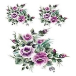 CADENCE TRANSFER PAPER 17/25 - G-19