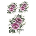 CADENCE TRANSFER PAPER 17/25 - G-21