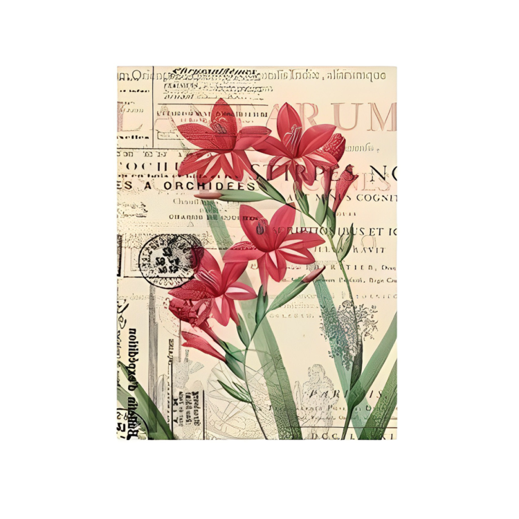 162056 CADENCE DECOUPAGE RICE PAPER A3 - 056 - Image 1