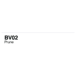 COPIC VARIOUS INK - BV-02
