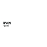 COPIC VARIOUS INK - RV-69