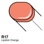 COPIC SKETCH MARKER - R-17