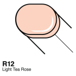 COPIC SKETCH MARKER - R-12