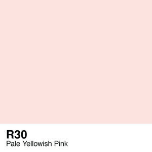 207725-110951 COPIC VARIOUS INK - R-30 - Image 1