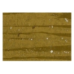 MUNGYO OIL PASTEL METALLIC GOLD MOP 341