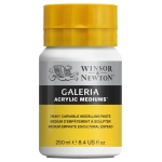 W&N STRUCTURAL PASTE GALERIA HEAVY CARVABLE 250 ML - 3040814
