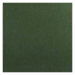 FABRIANO COLORED CARDBOARD ELLE ERRE 100/70 OLIVE GREEN