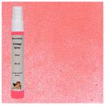 DAILY ART INK SPRAY 30 ML VINTAGE - ROSE
