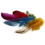 CREATIV FEATHERS FOR DECORATION FROM GUINEA FOWL ASSORTED 3 G.