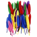 CREATIV FEATHERS FOR DECORATION FROM ASSORTED HEN