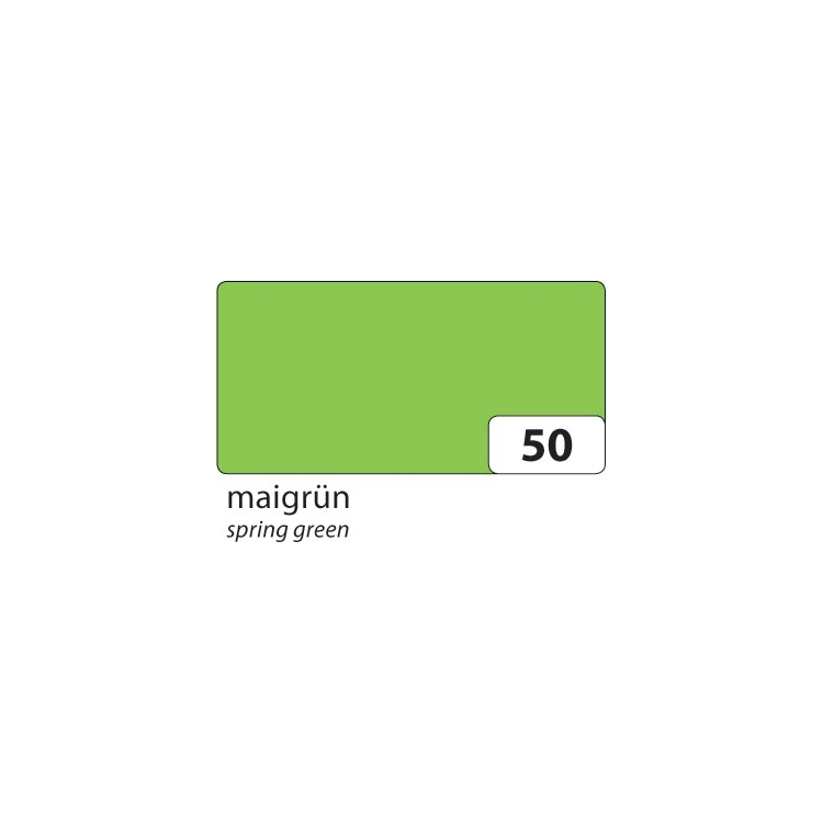 656450-89093 FOLIA TONCARDBOARD FORMAT A4 130 G/M2 - SPRING GREEN - Image 1