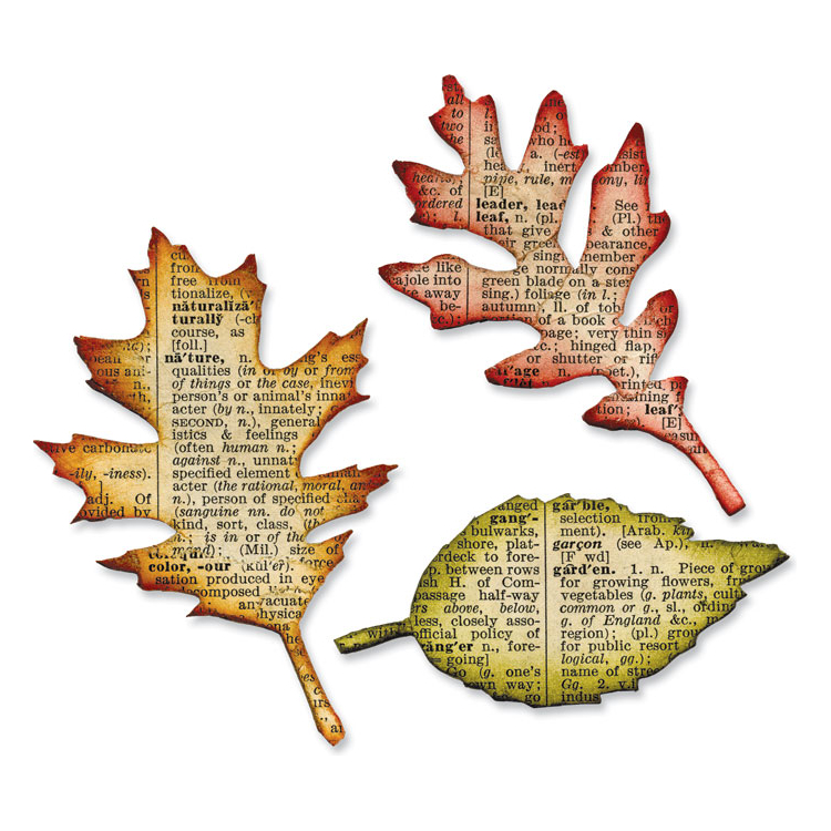 656927-89644 SIZZIX BIGZ CUT DIES - TATTERED LEAVES - Image 1