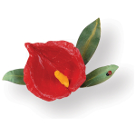 SIZZIX THINLITS CUTTING DIES - FLOWER, ANTHURIUM