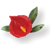 SIZZIX THINLITS CUTTING DIES - FLOWER, ANTHURIUM