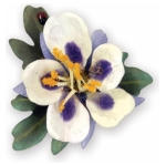 SIZZIX THINLITS CUTTING DIES - FLOWER, COLUMBINE