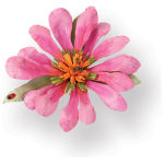 SIZZIX THINLITS CUT DIES - FLOWER, GAZANIA