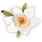 SIZZIX THINLITS CUT DIES - FLOWER, NARCISSUS