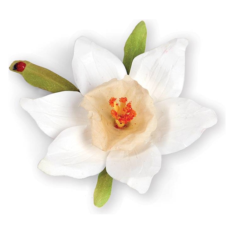 SIZZIX THINLITS CUT DIES - FLOWER, NARCISSUS - Image 1