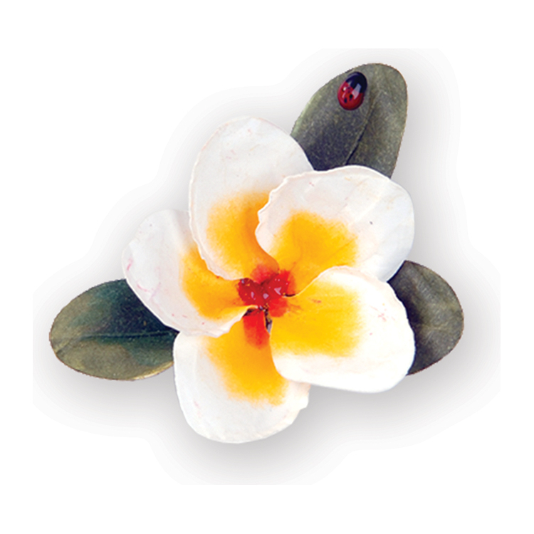 658864-89656 SIZZIX THINLITS CUT DIES - FLOWER, PLUMERIA - Image 1