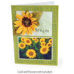 SIZZIX THINLITS CUTTING DIES - GRID WORKS
