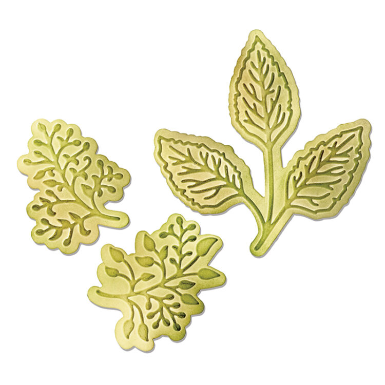 658963-89311 SIZZIX BIGZ CUT DIES - BOTANICAL LEAVES - Image 1