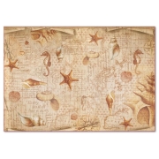 STAMPERIA DECOUPAGE RICE PAPER 48/33 - DFS406