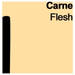CARAN D'ACHE DRY PASTELS SOFT PASTELS FLESH