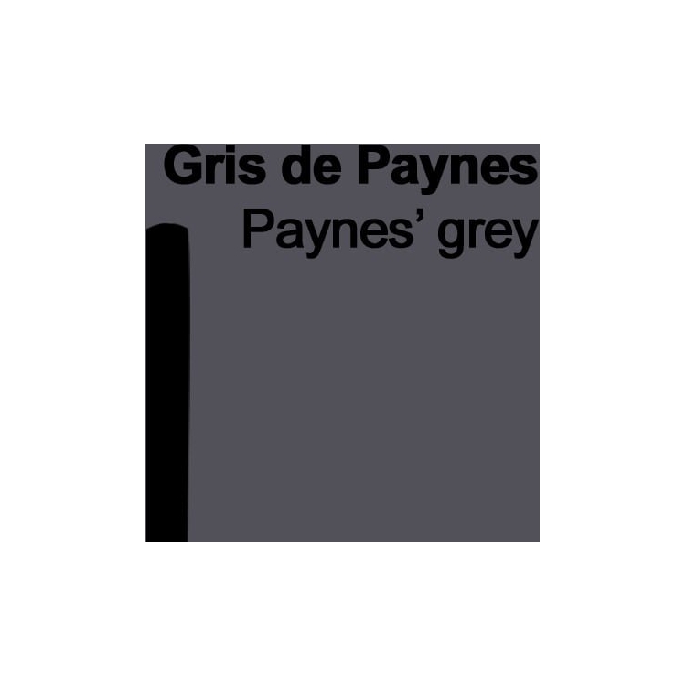720508-82790 CARAN D'ACHE DRY PASTELS SOFT PASTELS PINES GRAY - Image 1
