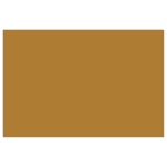 CARAN D'ACHE PASTEL PENCILS - RAW SIENNA