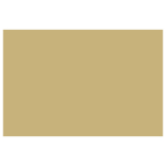 CARAN D'ACHE PASTEL PENCILS - BROWN OLIVE 50 %