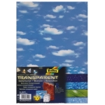 FOLIA FLOWER TRACING FOR SKY DECORATION - ASSORTED 115 G.23/33 CM