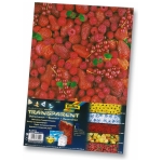 FOLIA FLOWER TRACING FOR DECORATION GERBERA-ASSORTED 115 G.23/33CM