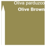 CARAN D'ACHE WATERCOLOR PENCILS PRISMALO OLIVE BROWN