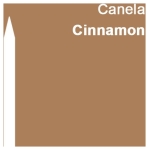 CARAN D'ACHE WATERCOLOR PENCILS PRISMALO CINNAMON