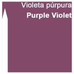 CARAN D'ACHE WATERCOLOR PENCILS PRISMALO PURPLE PURPLE